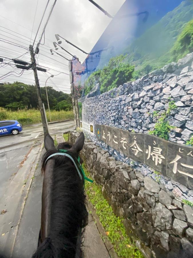 Muumin Farm Villa Nakijin Exterior foto