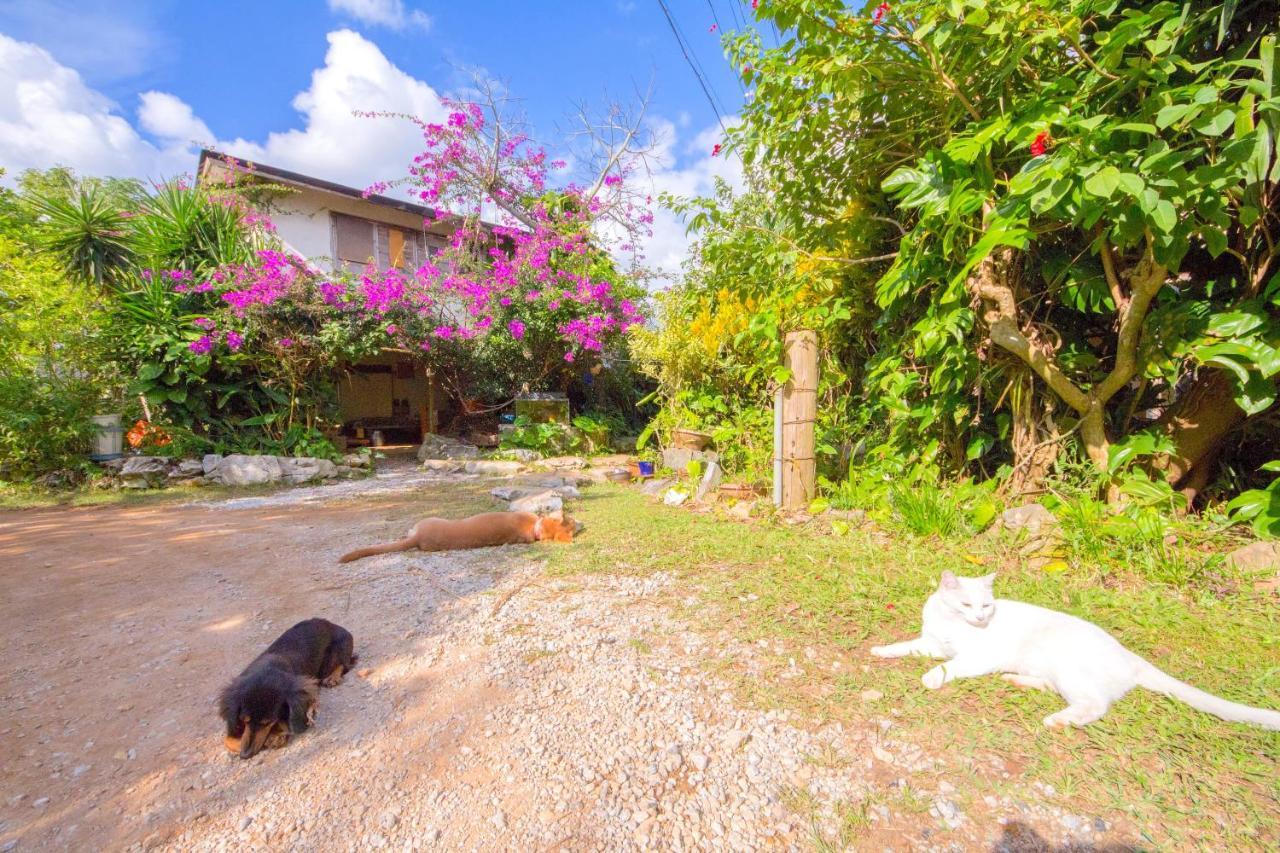 Muumin Farm Villa Nakijin Exterior foto